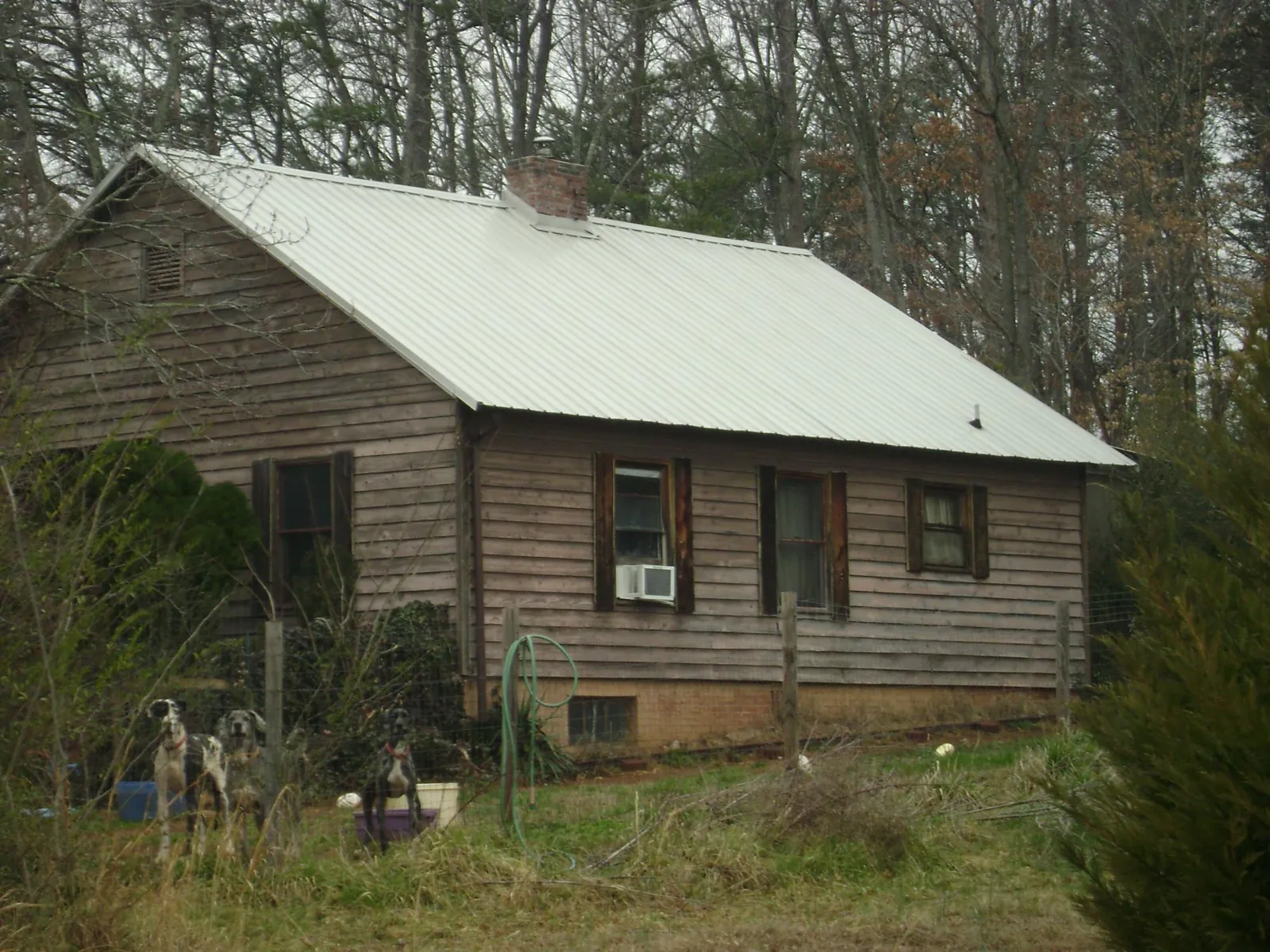 White metal roof on an old wood sided farmhouse, from a Asphalt Shingle Roof Repair job in Prineville